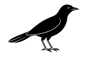 Bird Silhouette in Line Art Style for Ornithology Studies and Illustrations (SVG)