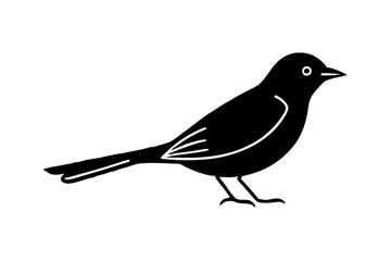 Bird Silhouette in Line Art Style for Ornithology Studies and Illustrations (SVG)