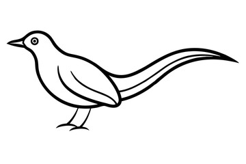 Bird Silhouette in Line Art Style for Ornithology Studies and Illustrations (SVG)