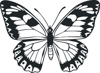 Vibrant Flying butterfly silhouette vector
