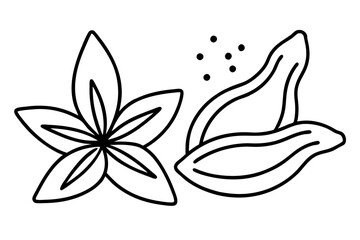 Detailed Line Art of Spices – Culinary Illustration for Blog and Recipes
