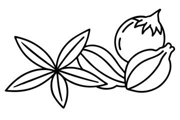 Detailed Line Art of Spices – Culinary Illustration for Blog and Recipes