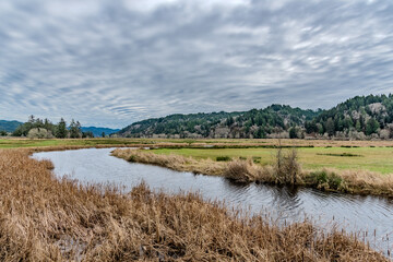 Scenic river winding through tall grass and wetlands in Oregon with clouds overhead