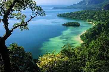 aerial view of island and sea