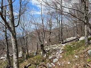 Obraz premium Premuzic hiking trail or Premuzic Trail - Velebit Nature Park, Croatia or Premuzic-Wanderweg or Premuzic's Trail (Pješački planinarski put Premužićeva staza - Park prirode Velebit, Hrvatska)