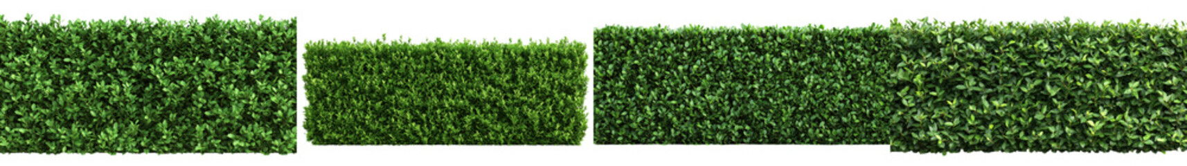 Obraz premium Beautiful Meticulously Arranged Green Hedges in Symmetrical Pattern for Nature Landscape or Background Design