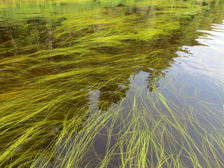 Adirondacks 0002 River Clouds Sky Water Grass
