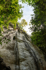 Fototapeta na wymiar cave in the forest