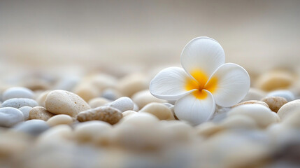 Zen spa stones and a delicate white flower arranged on a serene background in bright minimalistic tones symbolizing balance peace harmony and relaxation with ample copy space for design use

