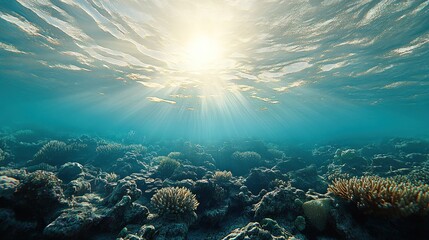 Obraz premium Underwater coral reef, sunbeams, ocean floor, sunrise