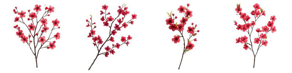 Beautiful Blooming Red and Pink Cherry Blossom Tree Branches With Flowers in Spring  Elegant and Floral Backdrop for Nature Botanical Seasonal or Romantic Designs