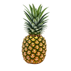 Fototapeta premium pineapple isolated on transparent background
