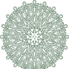 Beautiful flower art and mandala vector design