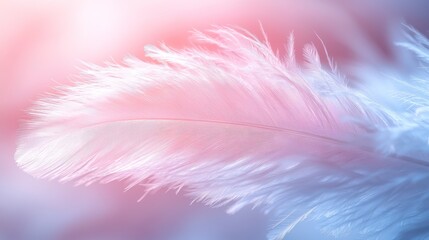 Obraz premium A delicate feather against a soft gradient background, evoking tranquility and beauty.