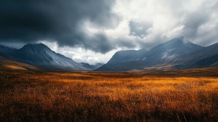 Naklejka premium A breathtaking view of mountains and golden grass under a dramatic cloudy sky.