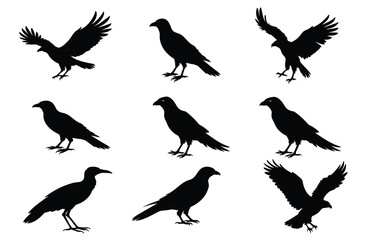 Eagle silhouette vector set icon illustration