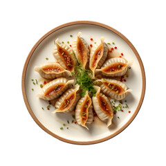 gyoza png transparent background