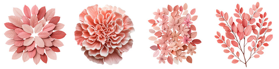 Colorful Close up View of Vibrant Blossoming Dahlia Flowers in Soft Focus  Floral Background with Delicate Petals and Foliage in Warm Tones