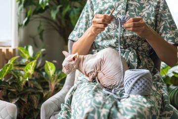 A young beautiful smiling girl crochets from gray yarn and strokes a sphinx cat.