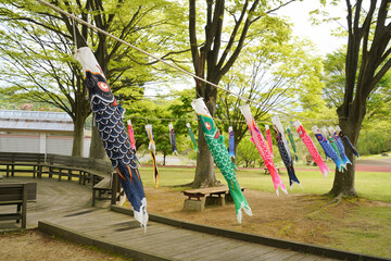 公園の木に間に泳ぐ鯉のぼり