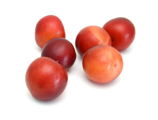 Red plum fruit isolated on white background