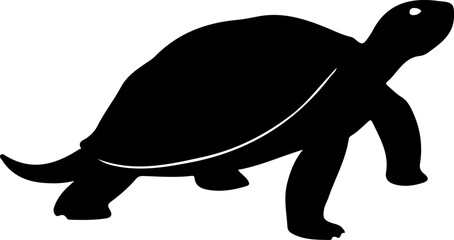 Tortoise Silhouette Design, Minimalist Tortoise Silhouette, Abstract Tortoise Art, Tortoise Silhouette in Nature, Artistic Tortoise Shadows, Creative Tortoise Silhouettes, Simple Tortoise Outline, Eel