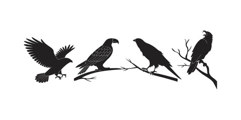 Collection of Birds Icon Silhouette Vector. Birds Icon Silhouette Vector Collection | Artistic Bird Symbols for Nature and Wildlife Designs