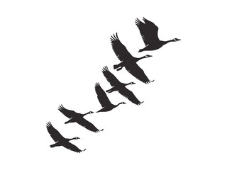 Collection of Birds Flock Backlit Silhouette
Birds Flock Backlit Silhouette Collection | Flying Birds Shadow Art for Nature Designs