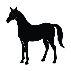 Vector of a horse isolated on white background. Wild Animals. Easy editable layered vector illustration