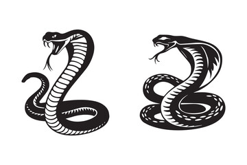 Fototapeta premium King Cobra Silhouette: A Symbol of Power