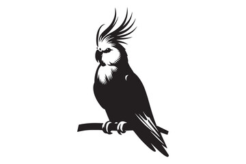 Whispers of Grace: The Enchanting Silhouette of a Cockatiel