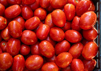 tomatoes in a box for background