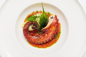 Octopus salad served on a plate in restaurant © Maksim Shebeko