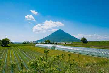 日本の九州の鹿児島の指宿の開門岳と畑とビニールハウス