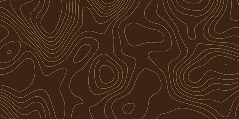 Panorama view gradient multicolor wave curve lines banner background. Topography and geography map grid. World Map Vintage Old-Style. Topographic contour map. White wave paper curved. Transparent PNG.