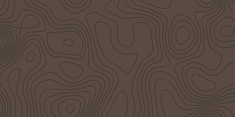 Panorama view gradient multicolor wave curve lines banner background. Topography and geography map grid. World Map Vintage Old-Style. Topographic contour map. White wave paper curved. Transparent PNG.