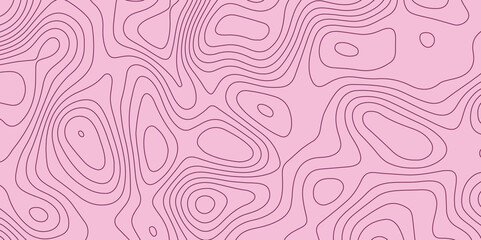 Panorama view gradient multicolor wave curve lines banner background. Topography and geography map grid. World Map Vintage Old-Style. Topographic contour map. White wave paper curved. Transparent PNG.