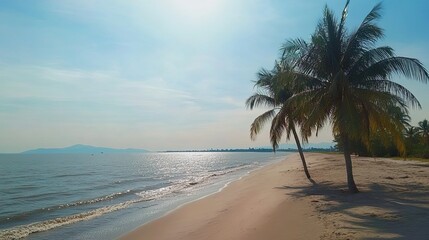 Fototapeta premium Serene Beach Scene With Palm Trees And Calm Ocean