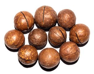Macadamia nuts in a shell on a white background.Macadamia nuts from Australia.Macadamia is a genus of woody plants in the Proteaceae family.