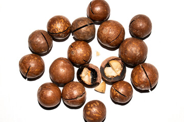 Macadamia nuts in a shell on a white background.Macadamia nuts from Australia.Macadamia is a genus of woody plants in the Proteaceae family.