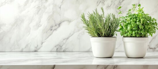 Potted artificial herbs in white pots on a marble table ideal for stylish kitchen decor and home design enhancement