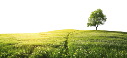 PNG Hilly spring fields landscape outdoors nature.