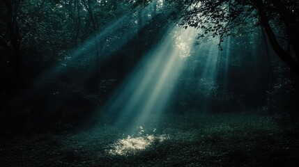 Obraz premium Divine light breaking through dark forest creating ethereal ambiance and a sense of tranquility in nature's embrace
