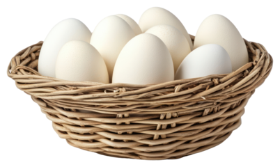 PNG Easter eggs in a basket white natural organic.