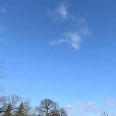 Obraz premium Empty sky in nature scene in the park