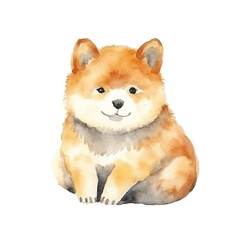 watercolors Cute shiba inu dog isolated illustration