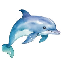 Fototapeta premium watercolors A playful dolphin jumping isolated illustration