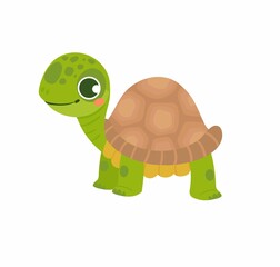 Cute sea turtle baby cartoon isolated on white background