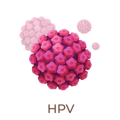 Illustration of the structure and characteristics of the human HPV virus under a microscope