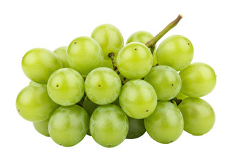 Cluster of fresh green grapes on a stem, isolated on white background